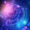 Supporting Digestive Health After Gallbladder Removal: A Functional Medicine Approach